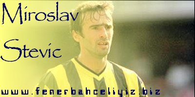 stevicsite - Miroslav Stevic stevicsite